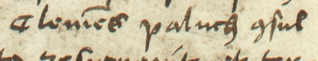 Z księgi ławniczej Kleparza obejmującej lata 1499–1528: fragment wpisu z 1512 roku dokumentującego
sprawę przed ławą miejską z wniosku Wojciecha Palucha i jego żony Małgorzaty,
dotyczącą spadku po zmarłym Klemensie Paluchu, rajcy kleparskim – zbliżenie zapisu imienia i urzędu
(Archiwum Narodowe w Krakowie, sygn. KL 1, s. 191)