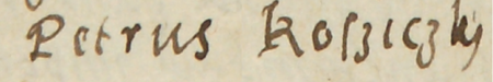 Z księgi radzieckiej Kleparza obejmującej lata 1573–1578: fragment wpisu z 1576 roku dokumentującego
wybór rady urzędującej wraz z podaniem wykazu rajców starych, z Piotrem Kosickim w składzie –
zbliżenie zapisu imienia (Archiwum Narodowe w Krakowie, sygn. KL 28, s. 563)