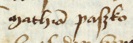 Z księgi radzieckiej obejmującej lata 1450–1483 fragment strony 548 z wpisem z 1476 roku stwierdzającym, że w poniedziałek
po święcie Obrzezania Pańskiego Wawrzyniec krawiec, syn Leonarda, upoważnił Macieja Paszka do sprzedaży Marcinowi
Bełzie (nr 242) za 100 guldenów „na widerkauf”, czyli z prawem odkupu, połowę należącego do niego domu położonego przy
ul. Szpitalnej – oraz powiększenie zapisu imienia (Archiwum Państwowe w Krakowie, sygn. rkps 429, s. 548)