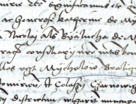 (Archiwum Główne Akt Dawnych w Warszawie, Metryka Koronna, t. 37,
sygn. 1/4/37, k. 459v)