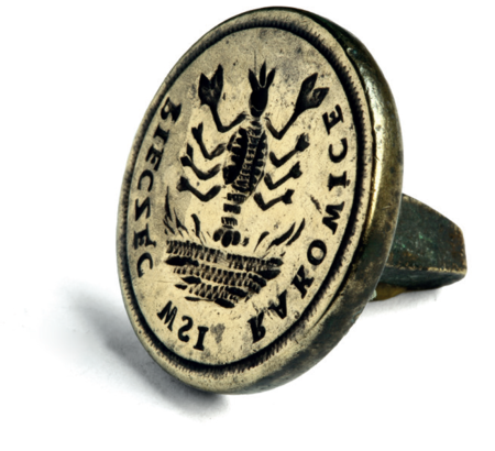 Stempel mosiężny tłoku pieczętnego wsi Rakowice, pochodzący prawdopodobnie z przełomu wieków XVIII i XIX;
rękojeść tłoku nie zachowała się; znany jest odcisk w laku wykonany tym stemplem w 1847 roku – por. s. 462
(Archiwum Narodowe w Krakowie, sygn. T 428)