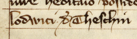 Z „Najstarszej księgi” na stronie 108 wpis z 1334 roku, potwierdzający, że dwa łany położone koło kościoła św. Floriana
należące dawniej do Ludwika z Cieszyna zostają przez Jana Winrycha (nr 26) oddane Janowi z Raciborza –
oraz powiększenie zapisu imienia (Archiwum Państwowe w Krakowie, sygn. rkps 1, s. 108)