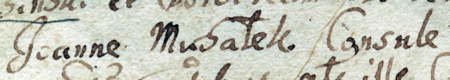 Z księgi małżeństw i narodzin (chrztów) parafii św. Floriana z lat 1636–1661: fragment wpisu z 1638 roku
dokumentującego zawarcie związku małżeńskiego między Janem Radzińskim i Dorotą Chechelską,
wdową po mieszczaninie kleparskim, czego świadkami byli Sebastian Wyka i Jan Musalek, rajca kleparski –
zbliżenie zapisu imienia i urzędu (Archiwum parafii św. Floriana w Krakowie, sygn. M 1, s. 320)
