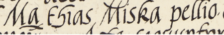 Z księgi radzieckiej Kazimierza obejmującej lata 1521–1533: fragment wpisu dokumentującego
wybór rady urzędującej na rok 1533, z Maciejem Miską w składzie – zbliżenie zapisu imienia i profesji
(Archiwum Narodowe w Krakowie, sygn. K 9, s. 344)
