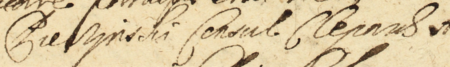 Z księgi wójtowsko-ławniczej Kleparza obejmującej lata 1649–1665: fragment wpisu z 1664 roku
dokumentującego sprawę przed ławą miejską, w której stroną był Pieczyński, rajca kleparski – zbliżenie zapisu przydomka
i urzędu (Archiwum Narodowe w Krakowie, sygn. KL 13, s. 239)
