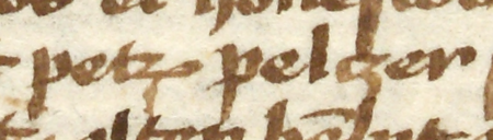 Z księgi radzieckiej obejmującej lata 1412–1449 strony 403–404 z wpisem z 1439 roku, zawierającym zeznanie
testamentowe Jan Pferda, złotnika, złożone wobec ławy miejskiej, w którym na wykonawców swojej ostatniej woli wyznaczył
rajcę Piotra Tarnowa (nr 217) oraz swego siostrzeńca Piotra Pelczera – oraz powiększenie zapisu imienia
(Archiwum Państwowe w Krakowie, sygn. rkps 428, s. 403–404)