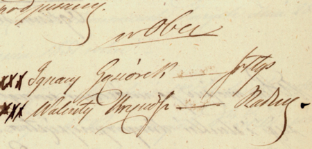 (Archiwum Narodowe w Krakowie, sygn. 29/455/163, nlb.)