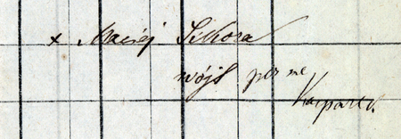 (Archiwum Narodowe w Krakowie, sygn. T.Schn. 1178, s. 411)