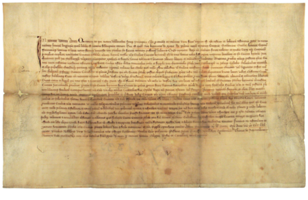 Dokument wydany 27 lutego 1335 roku w Sandomierzu przez Kazimierza Wielkiego, mocą którego król dokonał
lokacji miasta Kazimierza na prawie magdeburskim. In dorso zapisano, że w 1787 roku do kancelarii magistrackiej przyniosła ten
dokument Agnieszka, jako znalezisko w rzeczach po zmarłym teściu, Jakubie Chodanim (nr 349), rajcy i burmistrzu kazimierskim
– posiadanie oryginału dokumentu lokacyjnego Kazimierza zawdzięczamy więc między innymi roztropności owej Agnieszki
(Archiwum Narodowe w Krakowie, sygn. perg. 17)