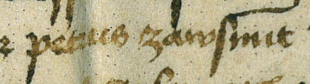 Fragment dokumentu wydanego w 1456 roku w Kleparzu, w którym rajcy kleparscy, wśród nich Piotr Zawszmit,
zatwierdzają przedstawione im artykuły statutu cechu tkaczy i barchanników kleparskich –
zbliżenie zapisu imienia (Archiwum Narodowe w Krakowie, sygn. perg. 257)