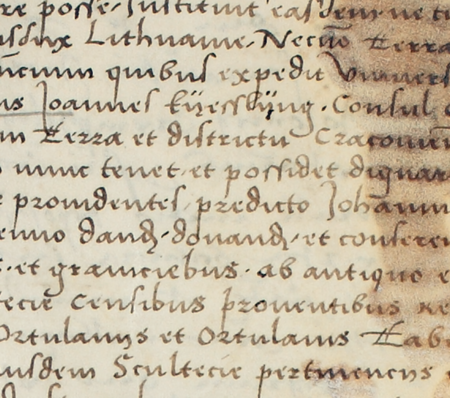 (Archiwum Uniwersytetu Jagiellońskiego, sygn. dypl. perg. 181)
* rajca i burmistrz krakowski w latach 1490–1534, Poczet 2010, s. 404