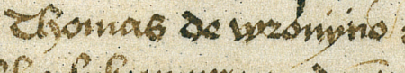 Fragment dokumentu wydanego w 1456 roku w Kleparzu, w którym rajcy kleparscy, wśród nich Tomasz z Wronina,
zatwierdzają przedstawione im artykuły statutu cechu tkaczy i barchanników kleparskich – zbliżenie zapisu imienia
(Archiwum Narodowe w Krakowie, sygn. perg. 257)
