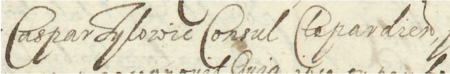 Z akt sądowych wielkorządcy krakowskiego obejmujących lata 1617–1652: fragment wpisu z 1629 roku
dotyczącego sporu sądowego między Małgorzatą, wdową po rajcy Janie Czubrowskim (nr 139),
a Kasprem Tylewiczem, rajcą kleparskim – zbliżenie zapisu imienia i urzędu
(Archiwum Narodowe w Krakowie, sygn. Teut. 71, s. 205)