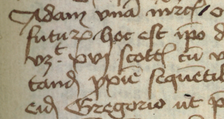 Adam młynarz z Bronowic