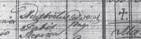 (Archiwum parafii Zmartwychwstania Pańskiego w Krakowie,
WDLN 1784–1850, s. 42)