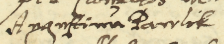 Z kazimierskiej księgi testamentów obejmującej lata 1568–1585: początkowy fragment wpisu z 1579 roku dokumentującego
przybycie przedstawicieli władz miasta, wśród nich ówczesnego ławnika Augustyna Pawlika, do domu zmarłego rajcy
Gabriela krawca (nr 220) w sprawach urzędowych związanych z jego ostatnią wolą – oraz zbliżenie zapisu imienia
(Archiwum Narodowe w Krakowie, sygn. K 440, s. 177)