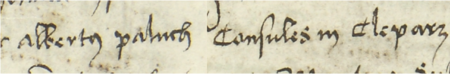 Z księgi ławniczej Kleparza obejmującej lata 1499–1528: fragment wpisu z 1520 roku otwierającego
sprawę rozpatrywaną przez ławę miejską z udziałem Wojciecha (Albertusa) Palucha, rajcy kleparskiego – zbliżenie zapisu
imienia i urzędu (Archiwum Narodowe w Krakowie, sygn. KL 1, s. 335)