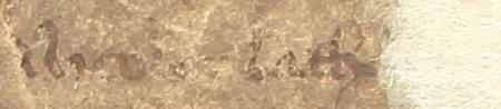 Z księgi radzieckiej Kazimierza obejmującej lata 1391–1402: fragment wpisu
dokumentującego wybór rajców na rok 1391, z Andrzejem kamieniarzem w składzie – zbliżenie zapisu imienia
(Archiwum Narodowe w Krakowie, sygn. K 4, s. 19)