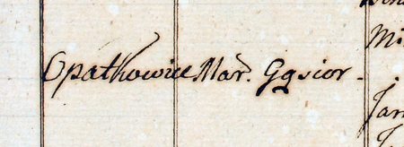 (Archiwum Narodowe w Krakowie, sygn. PDK-20, s. 231)