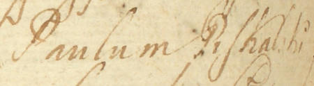 Z księgi radzieckiej Kleparza obejmującej lata 1691–1699: fragment wpisu z 1693 roku stwierdzającego wybór
nowych rajców kleparskich, wśród nich dotychczasowego ławnika Pawła Piskalskiego – oraz zbliżenie zapisu imienia
(Archiwum Narodowe
w Krakowie, sygn. KL 41, s. 343v)