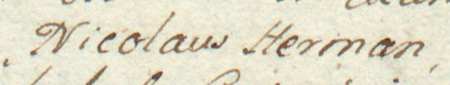 Z kopiarza przywilejów: fragment wpisu przywileju dotyczącego jeziora położonego we wsi Zabłocie,
którego udzielili rajcowie kazimierscy, z Mikołajem Hermanem w składzie – zbliżenie zapisu imienia
(Biblioteka Jagiellońska, sygn. rkps 136, s. 14)