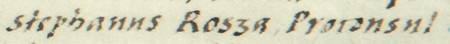 Fragment dokumentu wydanego w 1563 roku w Piotrkowie, w którym Zygmunt August potwierdził i powtórzył siedem
wcześniejszych dokumentów dotyczących pól i łąk we wsi Czyżowa, w tym akt wydany w 1439 roku w Kazimierzu, mocą
którego rajcowie kazimierscy, z ówczesnym burmistrzem Stefanem Rosą na czele, potwierdzili, że Katarzyna, wdowa po Wojciechu
Czipce, wraz z córką Małgorzatą przekazały pół łanu we wsi Czyżowa cechowi piwowarów kazimierskich –
oraz zbliżenie zapisu imienia i funkcji (Archiwum Narodowe w Krakowie, sygn. Aug. perg. 209)