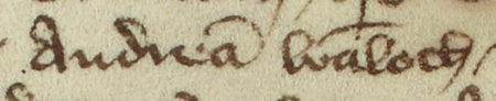 Dokument z roku 1408 wystawiony w Kazimierzu przez ławę miejską, w której ławnicy, z Andrzejem Wałachem
w składzie,
stwierdzili, że Jan Elianus (nr 49), wójt kazimierski, jako opiekun Jana Kulkirmana i jego żony,
sprzedał jatkę Piotrowi Molnerowi (nr 68), mieszczaninowi kazimierskiemu; przy dokumencie przywieszona na pergaminowym
pasku pieczęć ławnicza kazimierska, zachowana w ułamku – oraz zbliżenie pieczęci i zapisu imienia
(Archiwum Narodowe w Krakowie,
sygn. perg. 146)